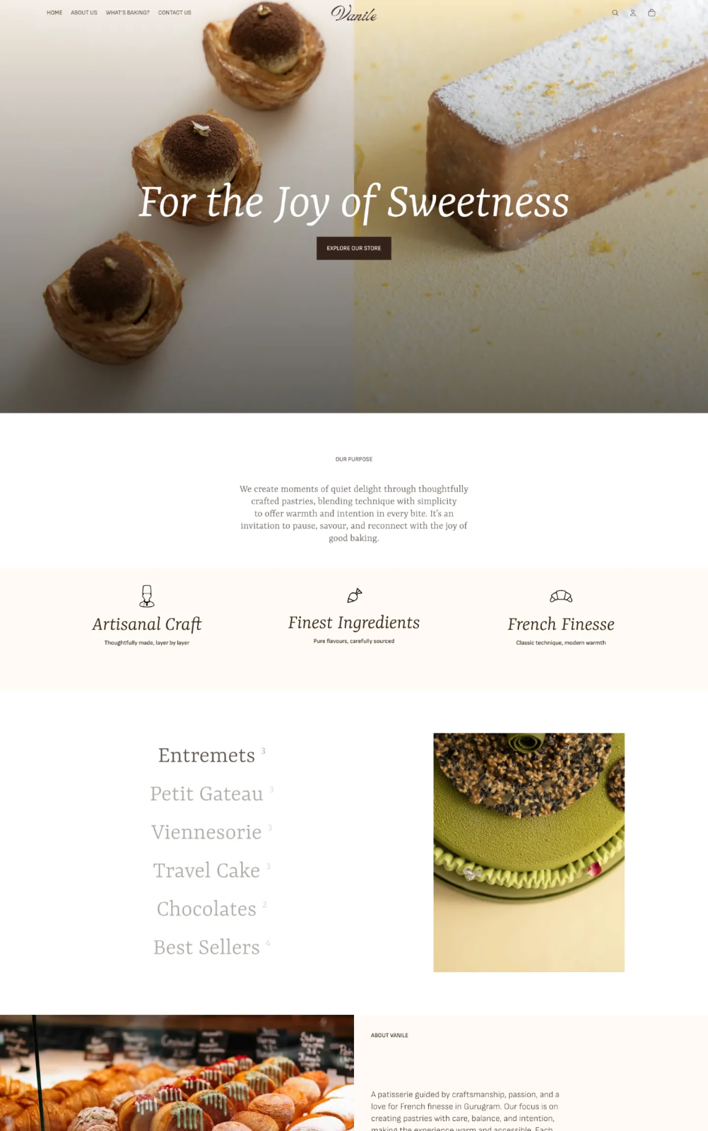 Vanile website design preview