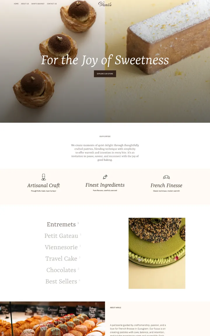 Vanile portfolio preview