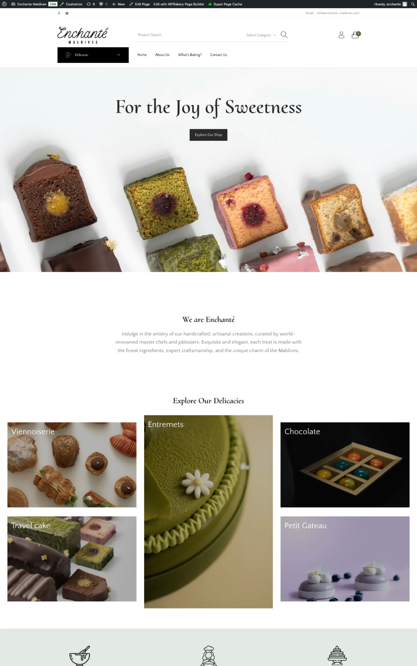 Enchanté Maldives website design preview